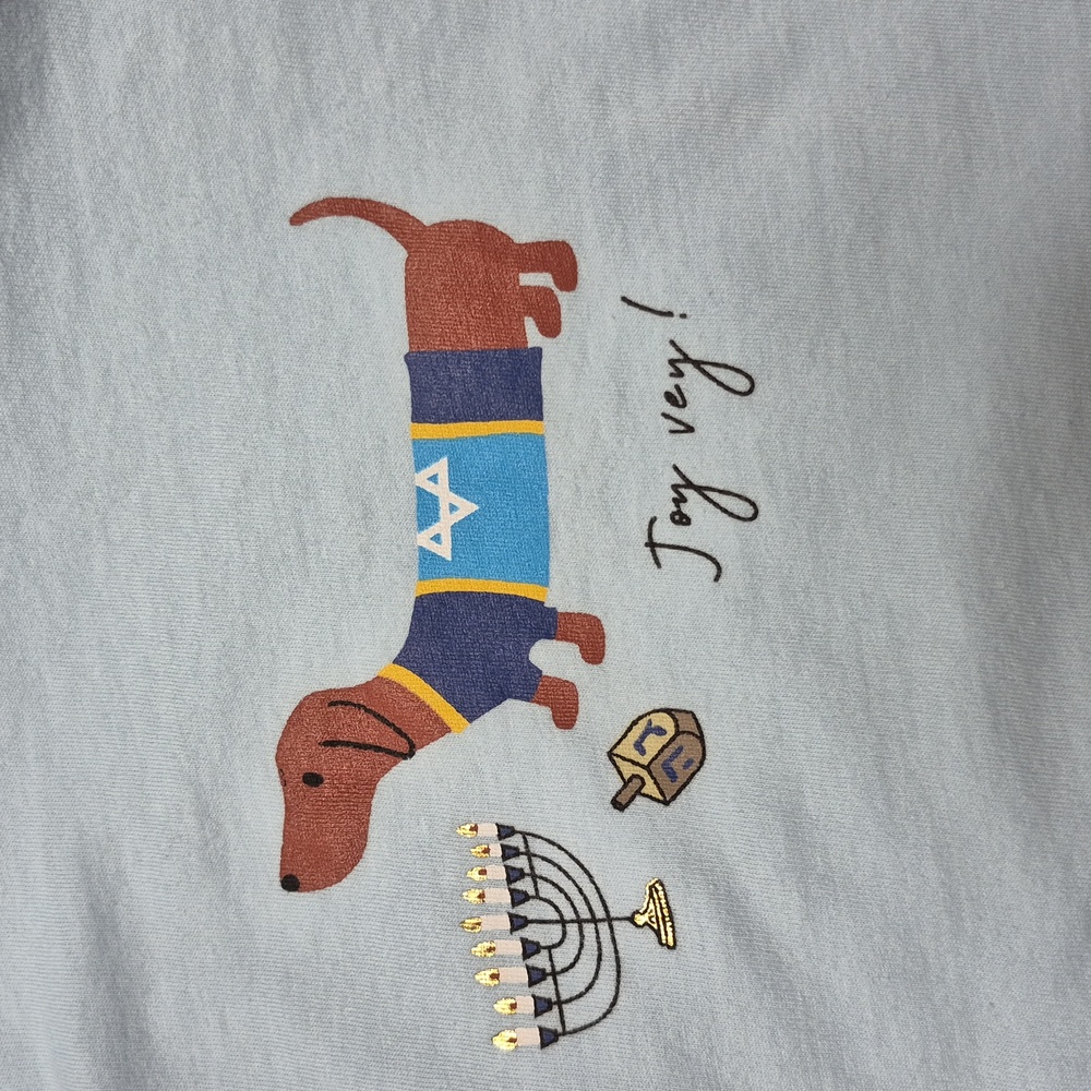 Hanukkah 100% Cotton Light Blue Tshirt from J.Crew Size Medium, New With Tags